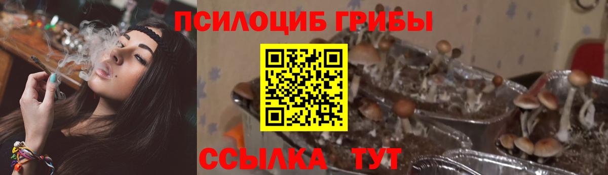 Галлюциногенные грибы Cubensis  Псилоцибиновые грибы ЛСД  Ялта  Вход с VPN 